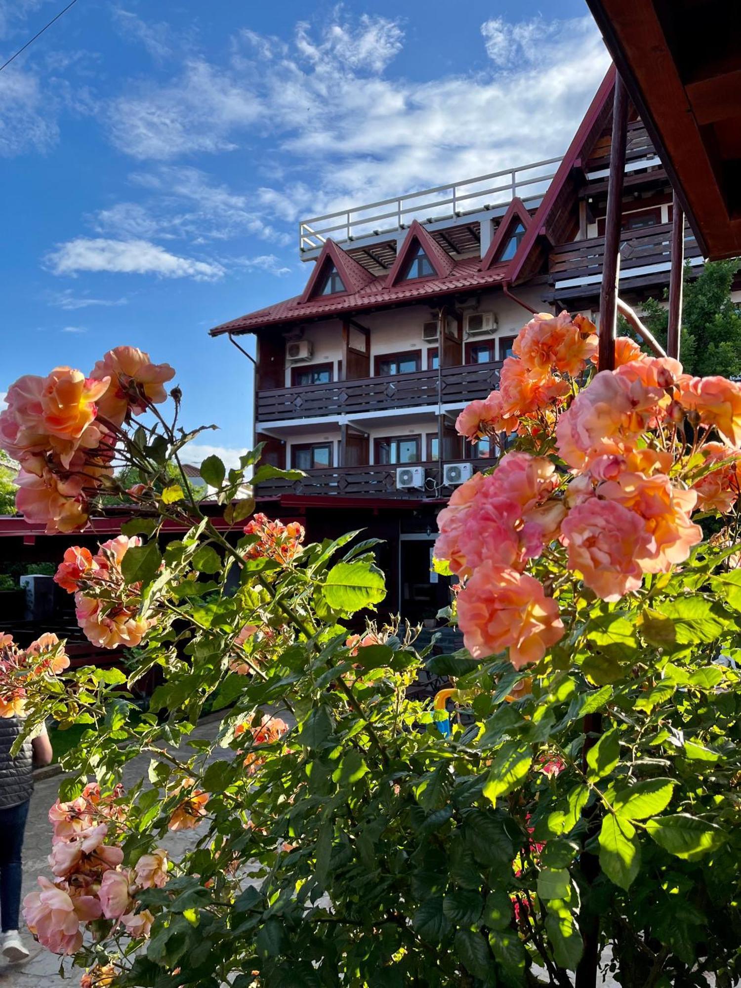 Casa Luca Hotel Vama Veche Eksteriør billede