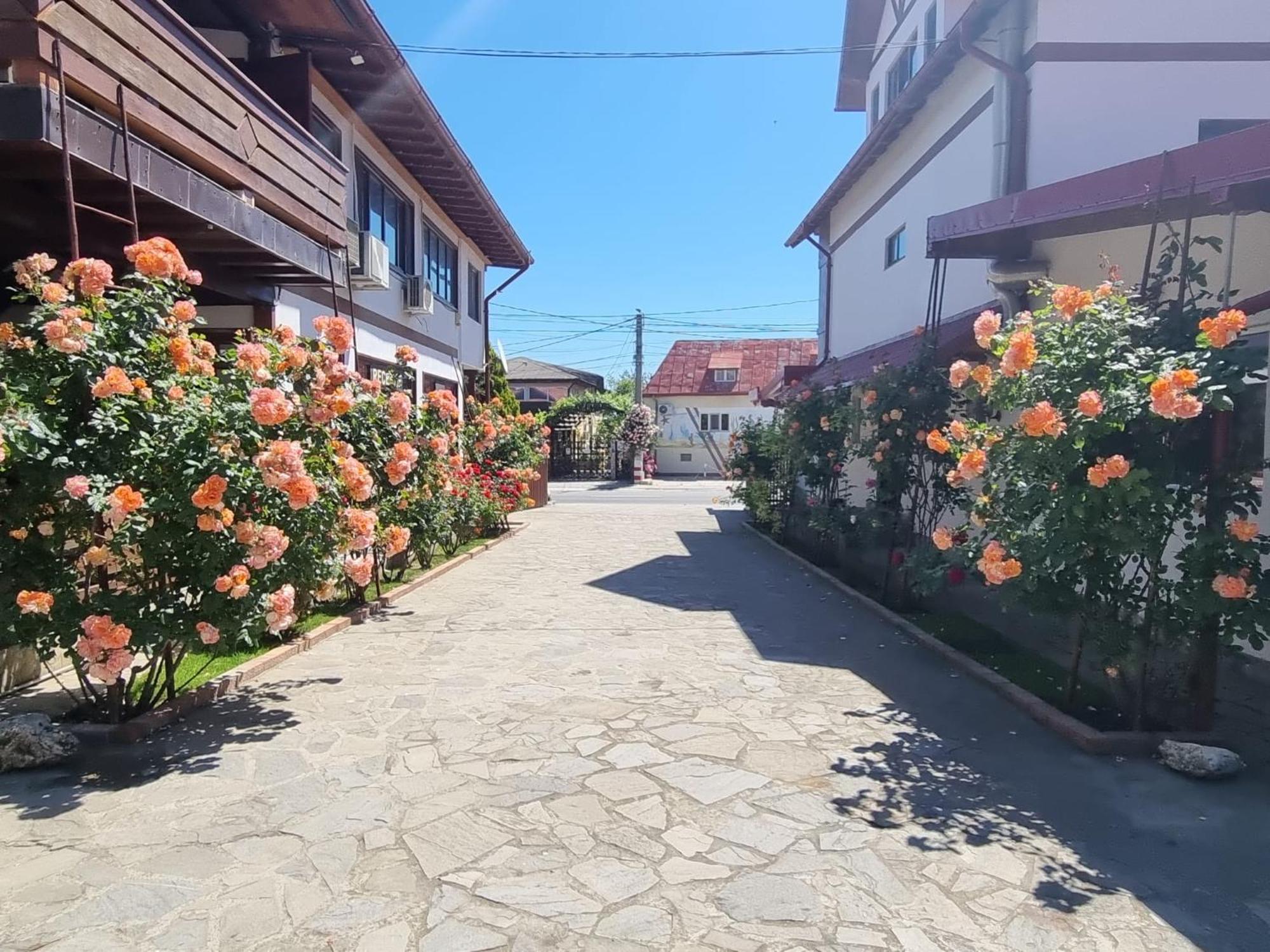 Casa Luca Hotel Vama Veche Eksteriør billede