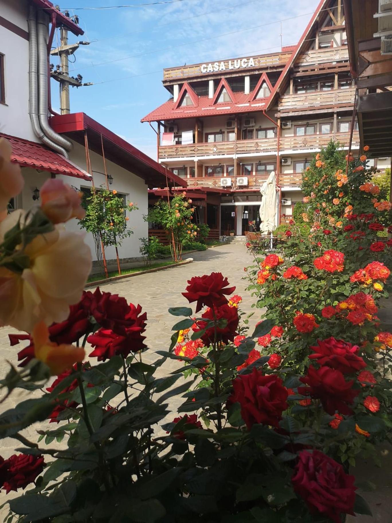 Casa Luca Hotel Vama Veche Eksteriør billede